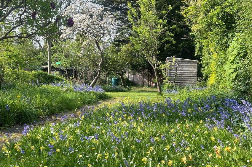 Images for The Close, Carshalton, SM5 EAID:434814747 BID:aff39acb-7ffa-433a-9c3e-047d5e64e2ac