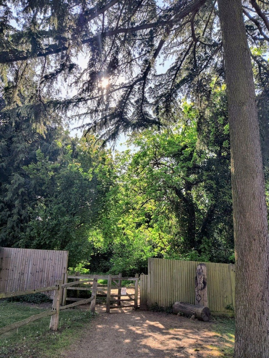 Images for The Close, Carshalton, SM5 EAID:434814747 BID:aff39acb-7ffa-433a-9c3e-047d5e64e2ac